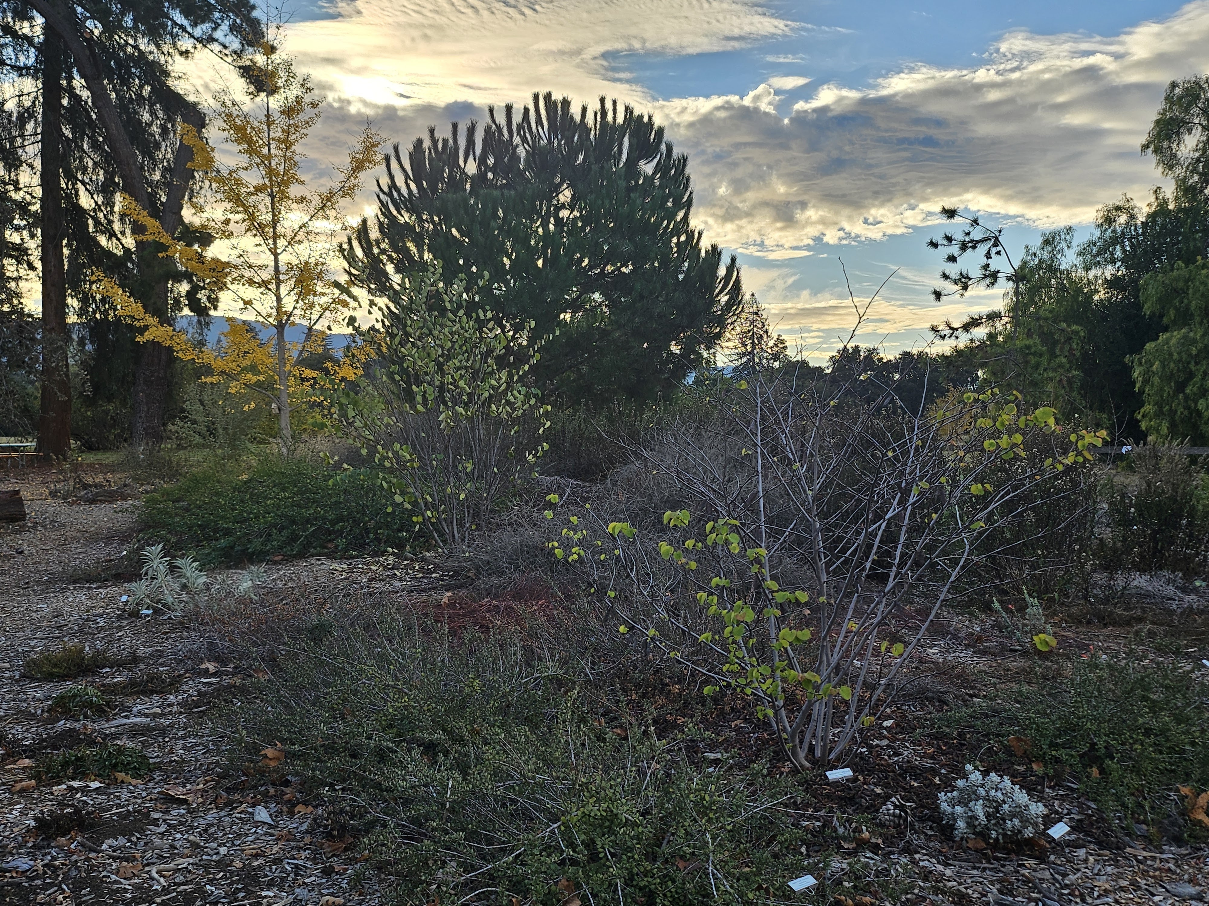 Biodiversity in the commumnity